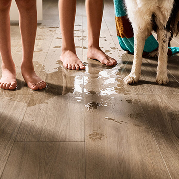 lvt inspo1 - The Floor Project